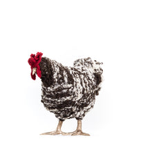 Load image into Gallery viewer, Little Beignet