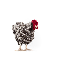 Load image into Gallery viewer, Little Beignet