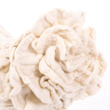 Load image into Gallery viewer, Little Kenny