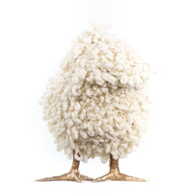 Load image into Gallery viewer, Lafayette