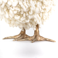 Load image into Gallery viewer, Lafayette