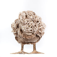 Load image into Gallery viewer, Clarice