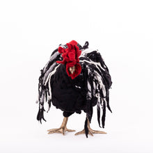 Load image into Gallery viewer, Little Frazzle