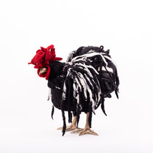 Load image into Gallery viewer, Little Frazzle