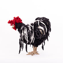 Load image into Gallery viewer, Little Frazzle