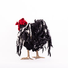 Load image into Gallery viewer, Little Frazzle