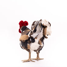 Load image into Gallery viewer, Little Hugo