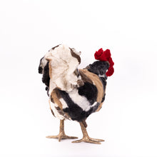 Load image into Gallery viewer, Little Hugo