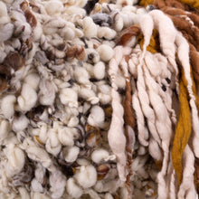 Load image into Gallery viewer, Peregrine