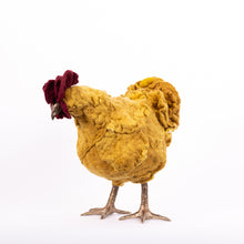 Load image into Gallery viewer, Little Rosamel