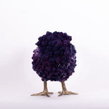 Load image into Gallery viewer, Little Vita