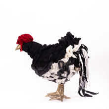 Load image into Gallery viewer, Little Fina