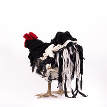 Load image into Gallery viewer, Little Fina