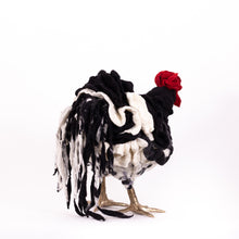 Load image into Gallery viewer, Little Fina