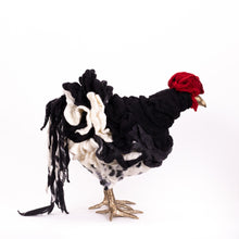 Load image into Gallery viewer, Little Fina