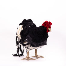 Load image into Gallery viewer, Little Fina