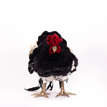 Load image into Gallery viewer, Little Fina