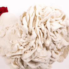 Load image into Gallery viewer, Catherine Alexandra