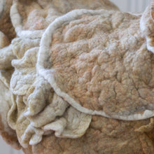 Load image into Gallery viewer, Little Petali