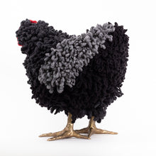 Load image into Gallery viewer, Rocky