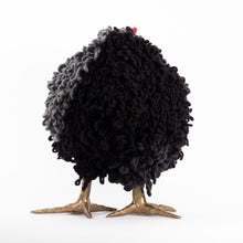 Load image into Gallery viewer, Rocky