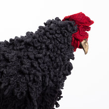 Load image into Gallery viewer, Rocky