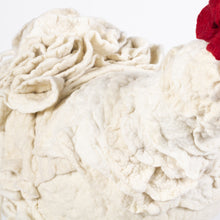 Load image into Gallery viewer, Little Zita