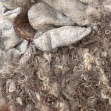 Load image into Gallery viewer, Frosty