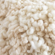 Load image into Gallery viewer, Velma