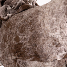 Load image into Gallery viewer, Jill