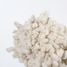 Load image into Gallery viewer, Little Oree