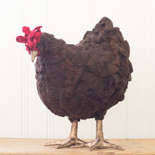 Load image into Gallery viewer, Geneva