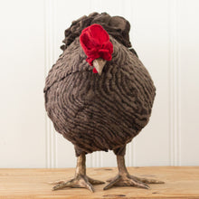 Load image into Gallery viewer, Josef