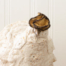 Load image into Gallery viewer, Little Carmella