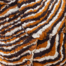 Load image into Gallery viewer, Little Courtney