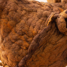 Load image into Gallery viewer, Little Don