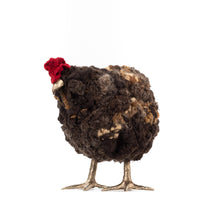 Load image into Gallery viewer, Little Lennox