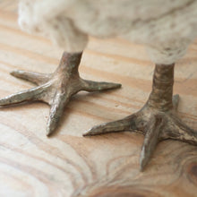 Load image into Gallery viewer, Little Lolly