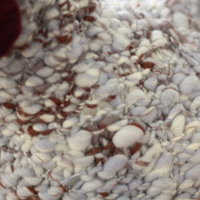 Load image into Gallery viewer, Little Tasha