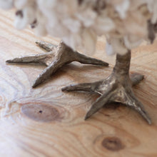 Load image into Gallery viewer, Little Edye