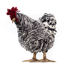 Load image into Gallery viewer, Beena