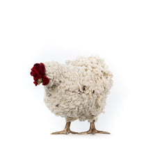 Load image into Gallery viewer, Little Marco