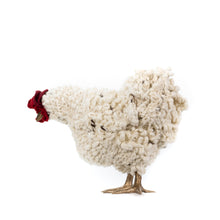 Load image into Gallery viewer, Little Marco