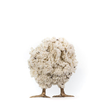 Load image into Gallery viewer, Little Marco