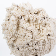 Load image into Gallery viewer, Little Marco