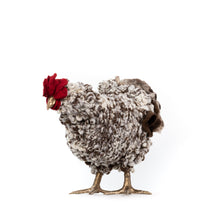 Load image into Gallery viewer, Little Polo