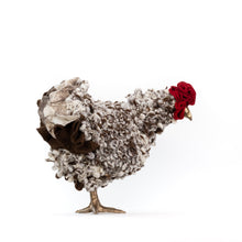 Load image into Gallery viewer, Little Polo