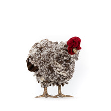 Load image into Gallery viewer, Little Polo