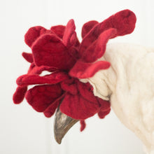 Load image into Gallery viewer, Carol