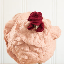 Load image into Gallery viewer, Little Adelaide